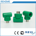 Wholesale Durable Green Plastics Plumbing Materials Dubai Brass Insert PPR Pipes Fittings